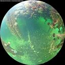 ./images/calvert/underwater/20260603/underwater20260603_092501M.jpg