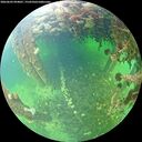 ./images/calvert/underwater/20260603/underwater20260603_094001M.jpg