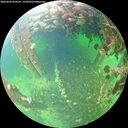 ./images/calvert/underwater/20260603/underwater20260603_094501M.jpg