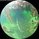./images/calvert/underwater/20260603/underwater20260603_095001M.jpg