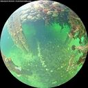 ./images/calvert/underwater/20260603/underwater20260603_095501M.jpg