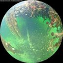 ./images/calvert/underwater/20260603/underwater20260603_103501M.jpg