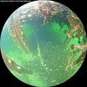 ./images/calvert/underwater/20260603/underwater20260603_104002M.jpg
