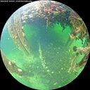 ./images/calvert/underwater/20260603/underwater20260603_104501M.jpg