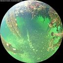 ./images/calvert/underwater/20260603/underwater20260603_105001M.jpg