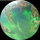 ./images/calvert/underwater/20260603/underwater20260603_105501M.jpg