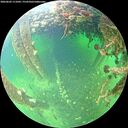 ./images/calvert/underwater/20260603/underwater20260603_111002M.jpg
