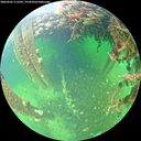 ./images/calvert/underwater/20260603/underwater20260603_112502M.jpg