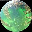 ./images/calvert/underwater/20260603/underwater20260603_113501M.jpg