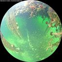 ./images/calvert/underwater/20260603/underwater20260603_114001M.jpg