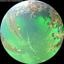 ./images/calvert/underwater/20260603/underwater20260603_115001M.jpg