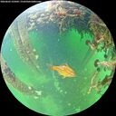 ./images/calvert/underwater/20260603/underwater20260603_122002M.jpg