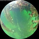 ./images/calvert/underwater/20260603/underwater20260603_122501M.jpg