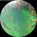 ./images/calvert/underwater/20260603/underwater20260603_123501M.jpg