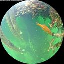 ./images/calvert/underwater/20260603/underwater20260603_130501M.jpg