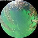 ./images/calvert/underwater/20260603/underwater20260603_133001M.jpg