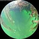 ./images/calvert/underwater/20260603/underwater20260603_135502M.jpg