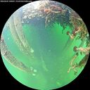 ./images/calvert/underwater/20260603/underwater20260603_140001M.jpg