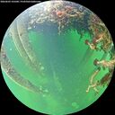 ./images/calvert/underwater/20260603/underwater20260603_141001M.jpg