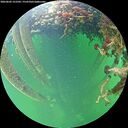 ./images/calvert/underwater/20260603/underwater20260603_152502M.jpg