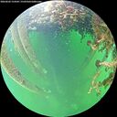 ./images/calvert/underwater/20260603/underwater20260603_154501M.jpg