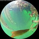 ./images/calvert/underwater/20260603/underwater20260603_155001M.jpg