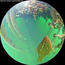 ./images/calvert/underwater/20260603/underwater20260603_160501M.jpg