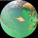 ./images/calvert/underwater/20260603/underwater20260603_161002M.jpg