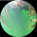 ./images/calvert/underwater/20260603/underwater20260603_165501M.jpg