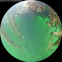 ./images/calvert/underwater/20260603/underwater20260603_173501M.jpg