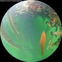 ./images/calvert/underwater/20260603/underwater20260603_175501M.jpg