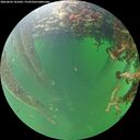 ./images/calvert/underwater/20260603/underwater20260603_181002M.jpg