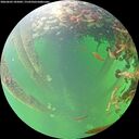 ./images/calvert/underwater/20260603/underwater20260603_185002M.jpg