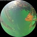 ./images/calvert/underwater/20260603/underwater20260603_191001M.jpg