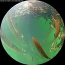 ./images/calvert/underwater/20260603/underwater20260603_192001M.jpg
