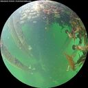 ./images/calvert/underwater/20260603/underwater20260603_193501M.jpg