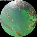 ./images/calvert/underwater/20260603/underwater20260603_200001M.jpg