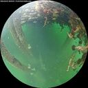 ./images/calvert/underwater/20260603/underwater20260603_200501M.jpg