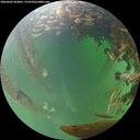 ./images/calvert/underwater/20260603/underwater20260603_203001M.jpg