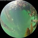 ./images/calvert/underwater/20260603/underwater20260603_204001M.jpg