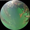 ./images/calvert/underwater/20260603/underwater20260603_204501M.jpg