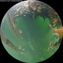 ./images/calvert/underwater/20260603/underwater20260603_211501M.jpg