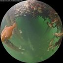 ./images/calvert/underwater/20260603/underwater20260603_212001M.jpg