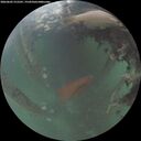 ./images/calvert/underwater/20260603/underwater20260603_215501M.jpg