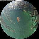 ./images/calvert/underwater/20260604/underwater20260604_053002M.jpg