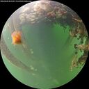 ./images/calvert/underwater/20260604/underwater20260604_061501M.jpg