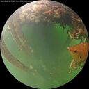 ./images/calvert/underwater/20260604/underwater20260604_063501M.jpg