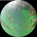 ./images/calvert/underwater/20260604/underwater20260604_071001M.jpg
