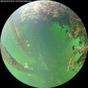 ./images/calvert/underwater/20260604/underwater20260604_073501M.jpg