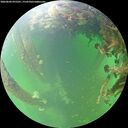 ./images/calvert/underwater/20260604/underwater20260604_075501M.jpg
